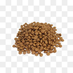 免費(fèi)下載寵物食品圖片大全 探索千庫(kù)網(wǎng)PNG資源的寶庫(kù)