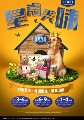 寵愛有價，健康無價——精選寵物食品限時特惠